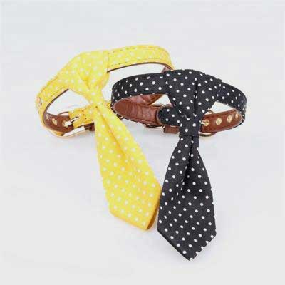 Multicolor Pet Collar: Good Quality Dog Collar 06-0612 Pet Collars Leashes bling dog collar