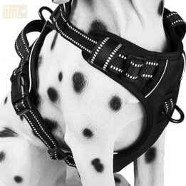Pet Factory wholesale Amazon Ebay Wish hot large mesh dog harness 109-0001 petgoodsfactory.com