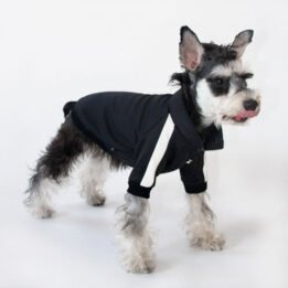 Sport Pet Clothes Custom Fashion Dog BomberJacket Blank Dog Clothes petgoodsfactory.com
