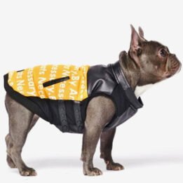 Pet Dog Clothes Vest Padded Dog Jacket Cotton Clothing for Winter petgoodsfactory.com