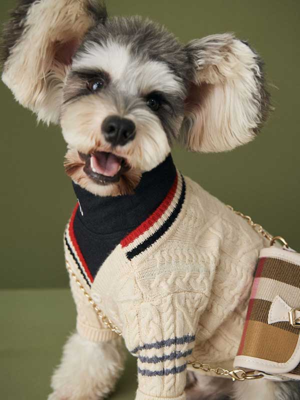 Designer Dog Clothes Wholesale Knitted Cardigan Pet Clothes Korea 06-1560 Dog Clothes 06-1560