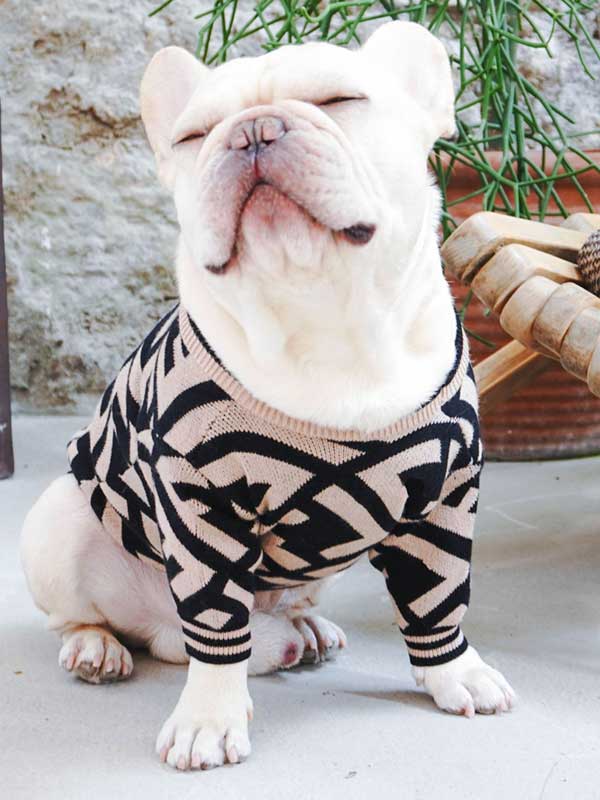Pet Apparel Supplier Luxury Knitted Dog Sweater Warm Pet Winter Dog Clothes 06-1392 Dog Clothes 06-1392