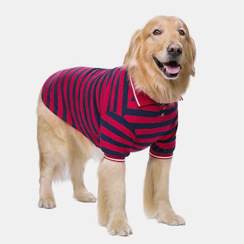 Pet Clothes Thin Striped POLO Shirt Two-legged Summer Clothes 06-1011-1 Dog Clothes: Shirts, Sweaters & Jackets Apparel 06-1011-1