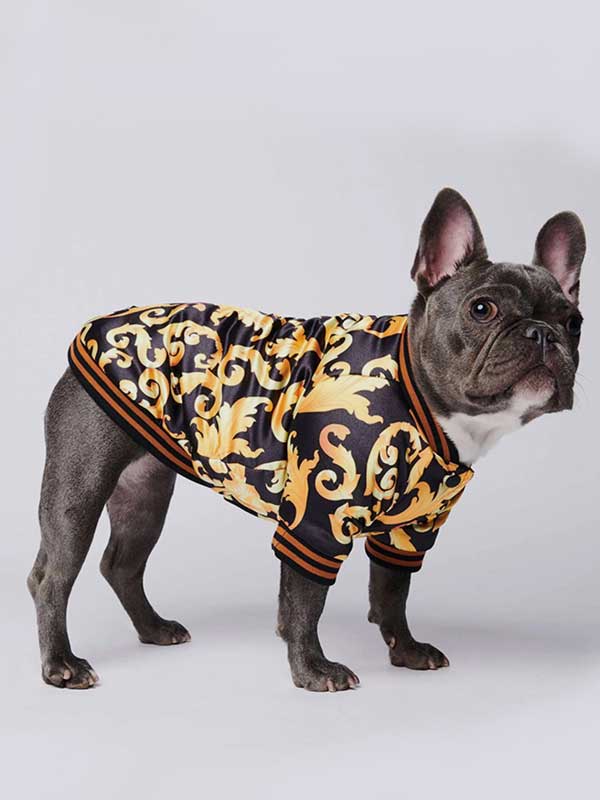 GMTPET New Product Designer Dog Clothes Winter Pet Dog Jacket Hot Sale Dog Coat 06-1383 Dog Clothes: Shirts, Sweaters & Jackets Apparel 06-1383