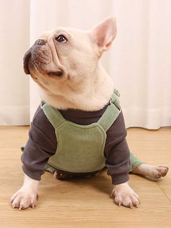 GMTPET French fighting clothes high elastic comfortable solid color plus velvet thick bottoming shirt T-shirt bulldog dog clothes 107-222016 petgoodsfactory.com