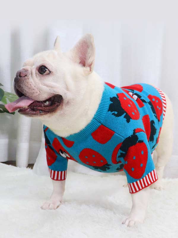New autumn and winter dog clothes bulldog sweater strawberry cartoon short body fat dog method fighting autumn sweater 107-222041 Dog Clothes: Shirts, Sweaters & Jackets Apparel 107-222041